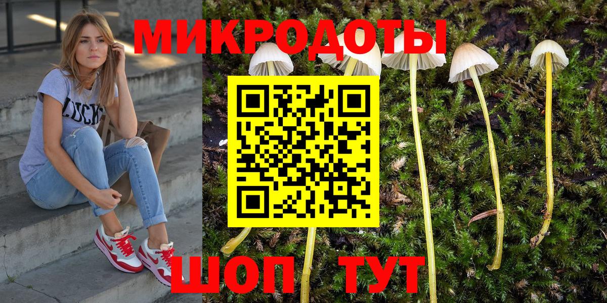 Галлюциногенные грибы Psilocybine cubensis Черногорск
