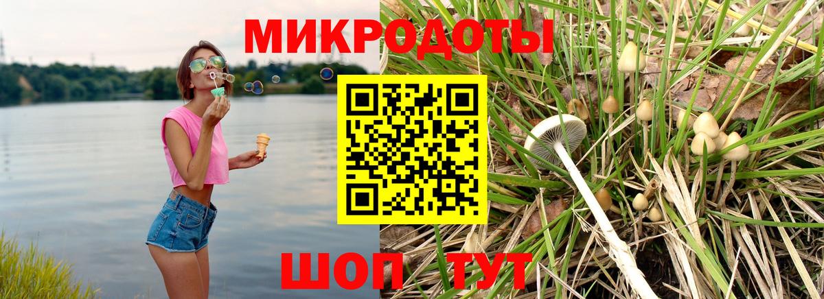 Галлюциногенные грибы ЛСД  Псилоцибиновые грибы мицелий  Вход с VPN  Черногорск 